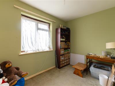 Picture 15